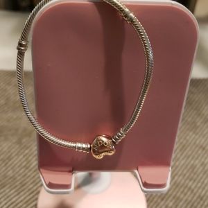 Pandora Charm Bracelet
